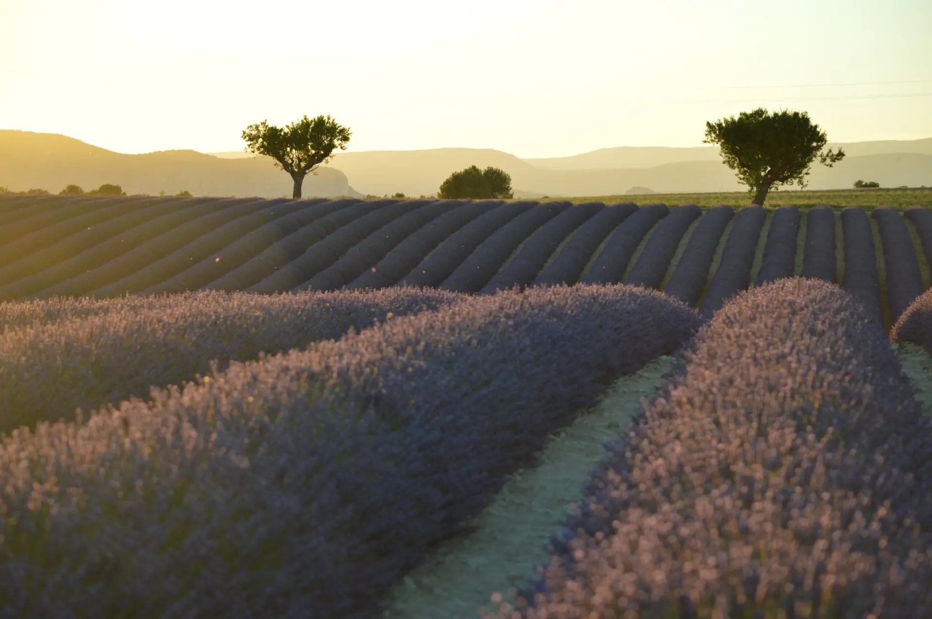 provence luxury france travel french promise