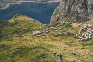 pyrenees alps luxury travel