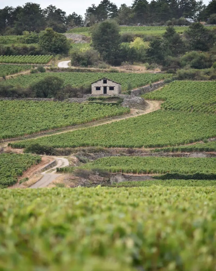 burgundy wine region france luxury travel