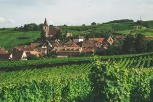 alsace luxury travel wine tours