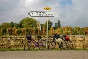 burgundy wine tasting