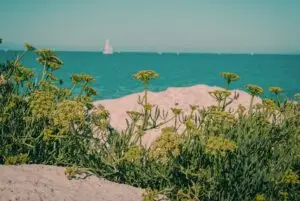 Ile de Ré west coast luxury france travel design