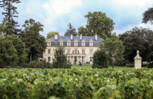 maison estournel bordeaux luxury wine tour