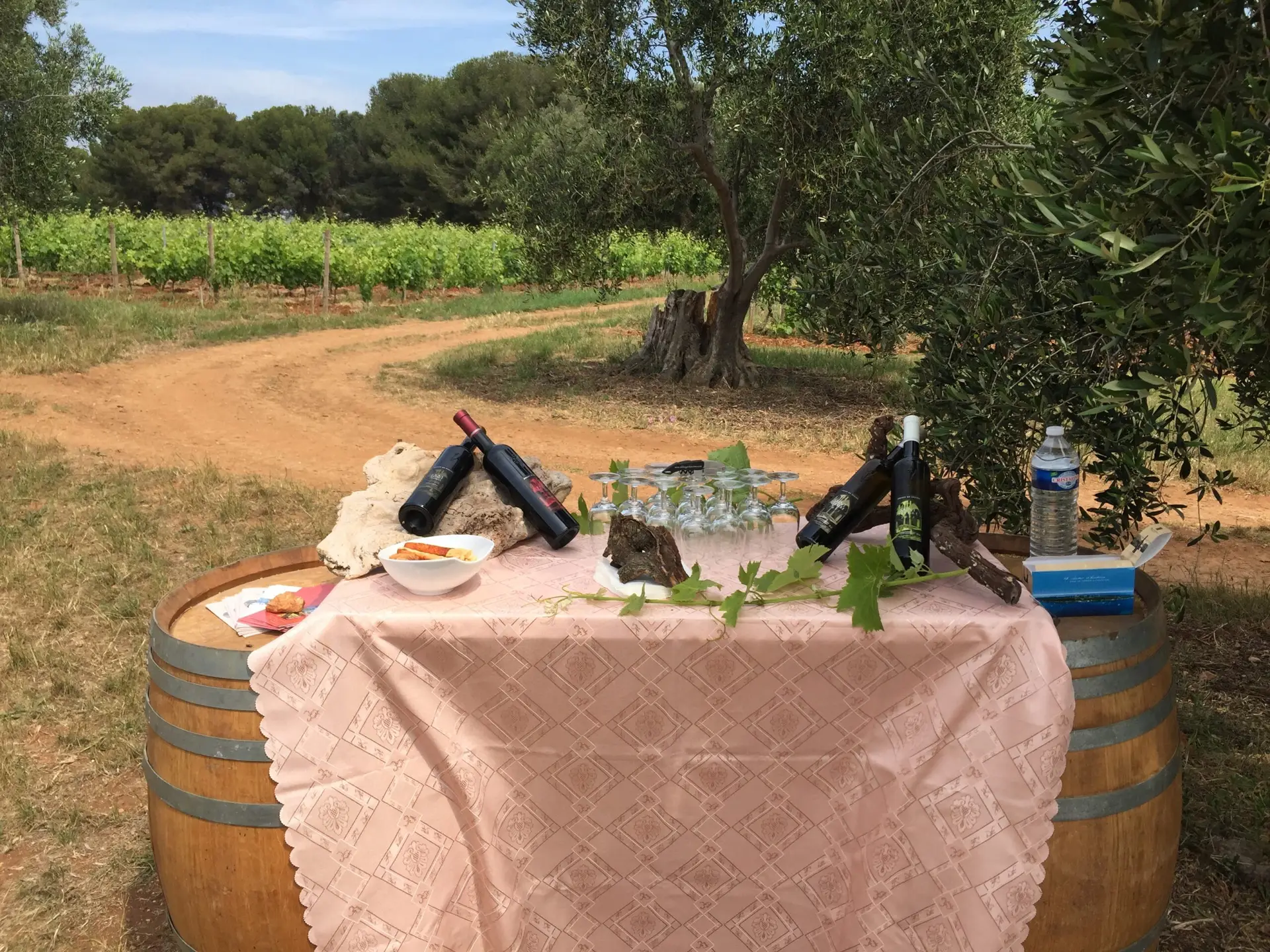 VIP Wine tasting St Honorat - Philip Haslett