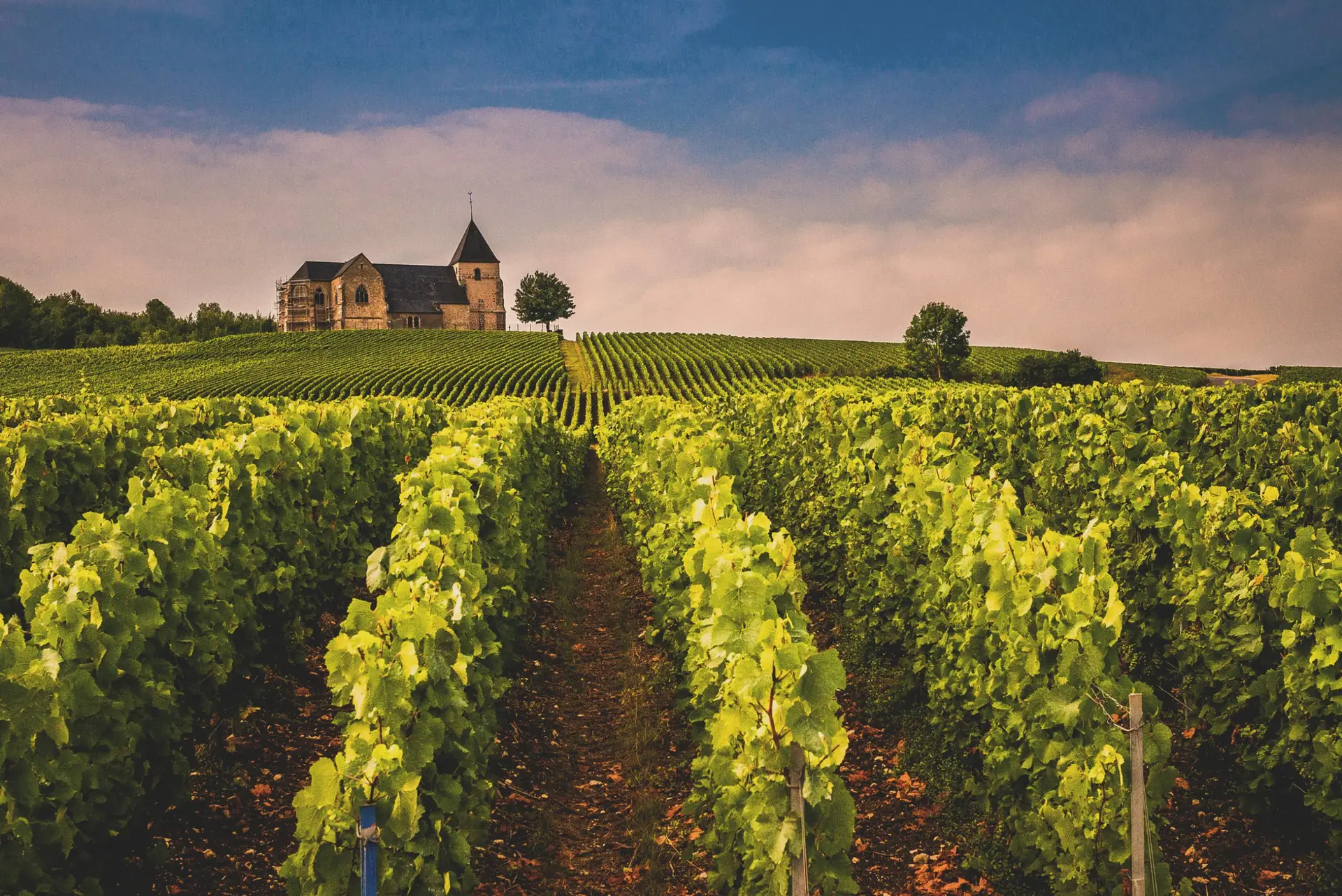 luxury travel champagne france