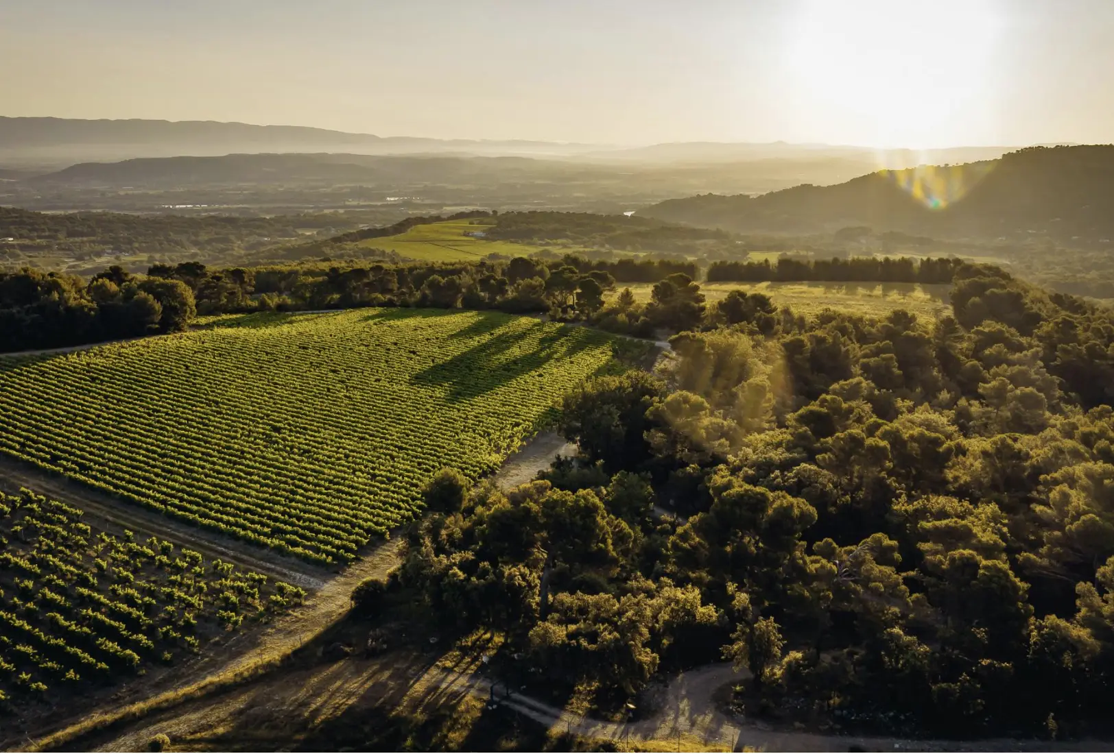 vineyards of provence luxury villa rental
