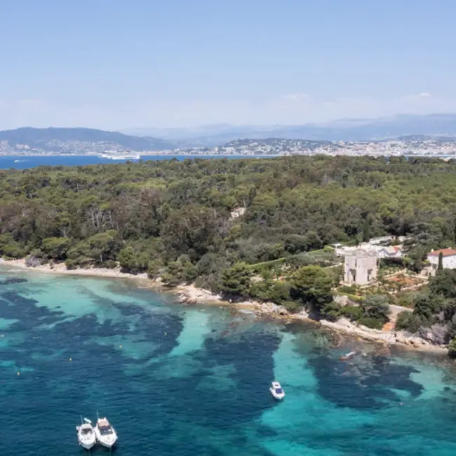 luxury cannes villa rental france travel advisors
