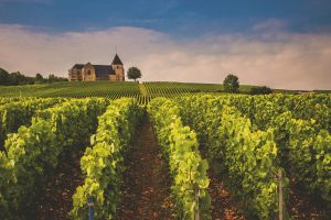 champagne-wine-region-luxury-travel advisors french promise