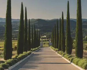 luxury france travel south of france luberon