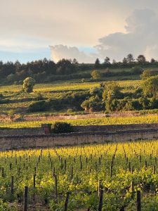 luxury travel advisor burgundy dmc