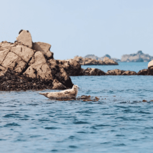 les bassans brittany luxury travel advisor