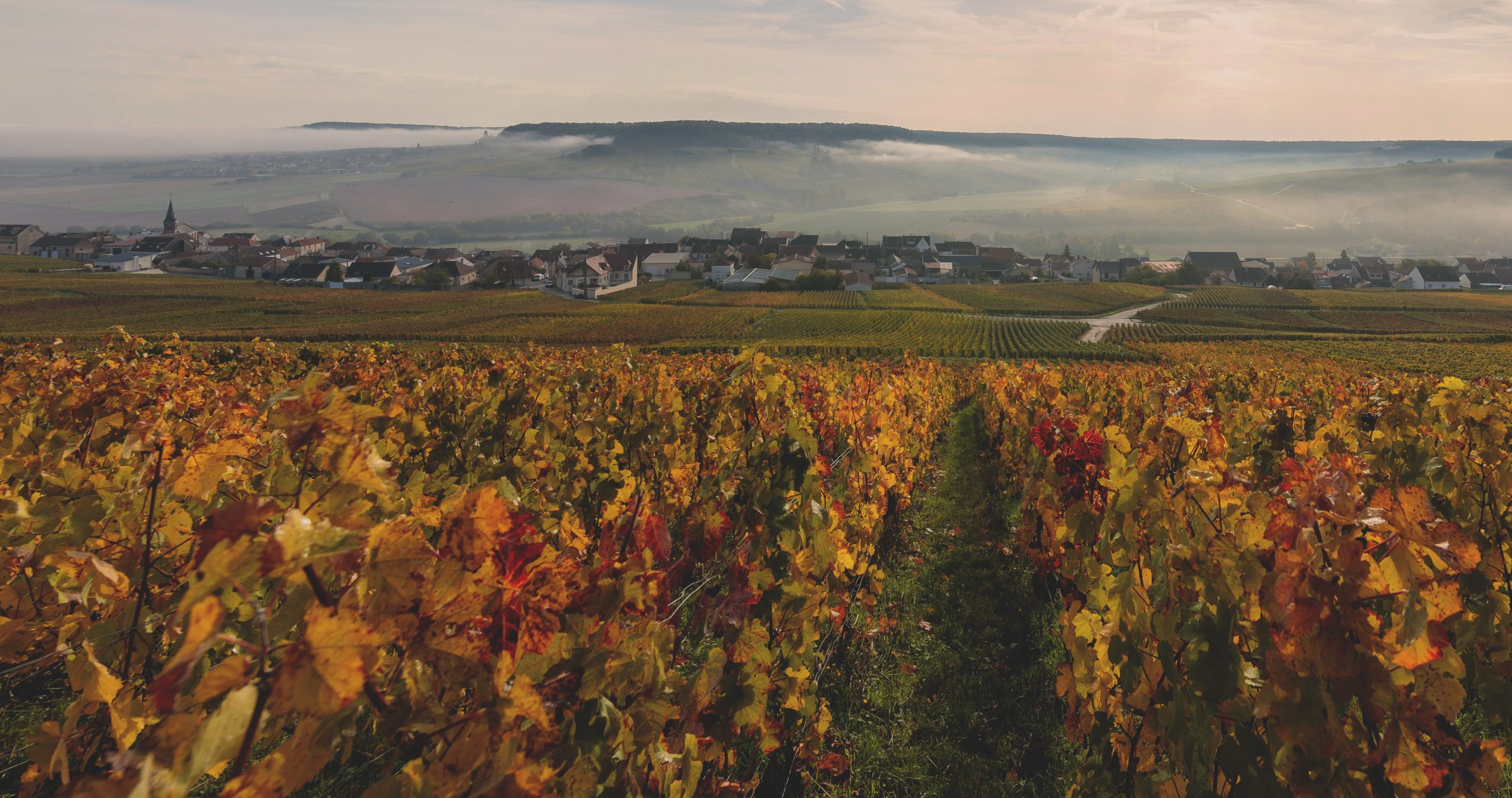 champagne vineyards luxury wine tours france french promise