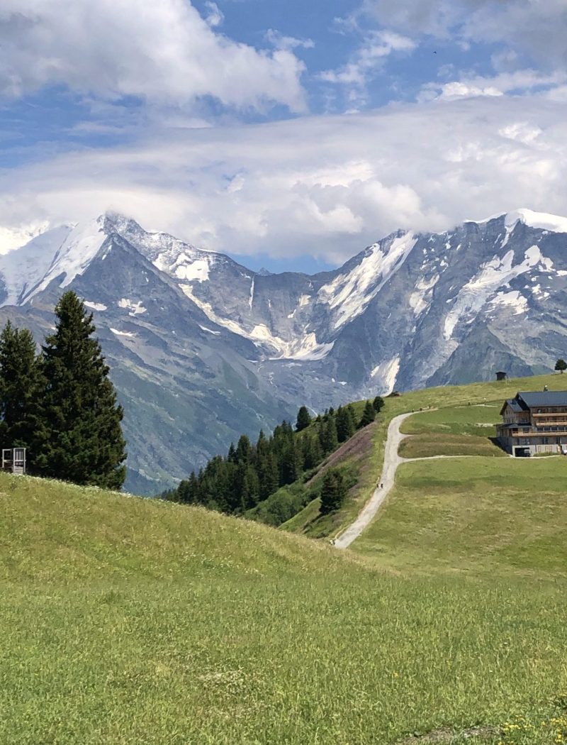 summer in the french alps